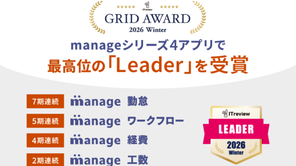 ITreview Grid Award 2026 Winte
